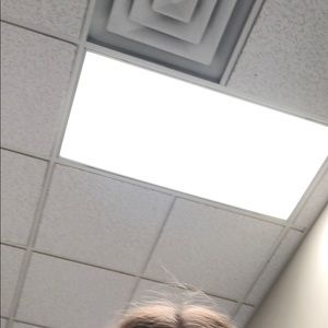 Meet your Posher, Lilly